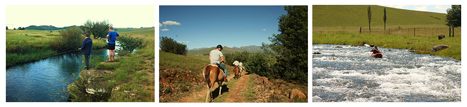 ActivitiesCollageFramed